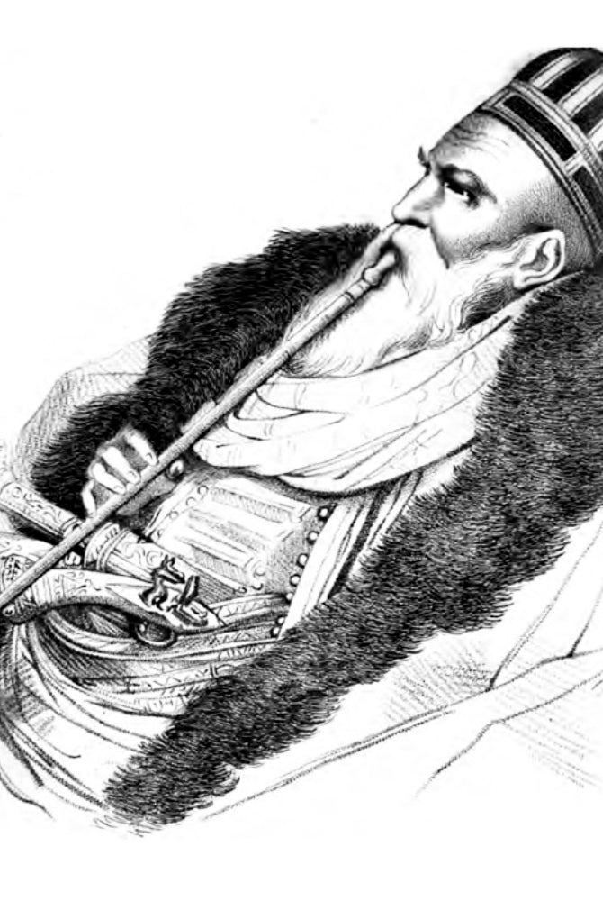 The Lion we know little of