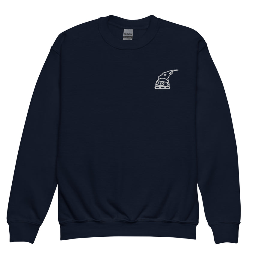 Përkrenare Embroidered Kids Sweatshirt