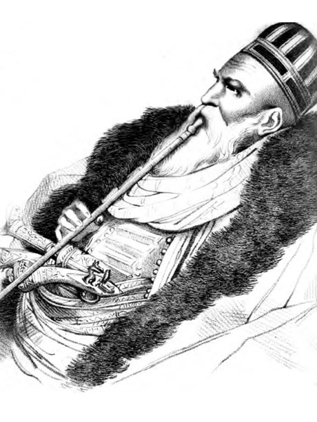 The Lion we know little of