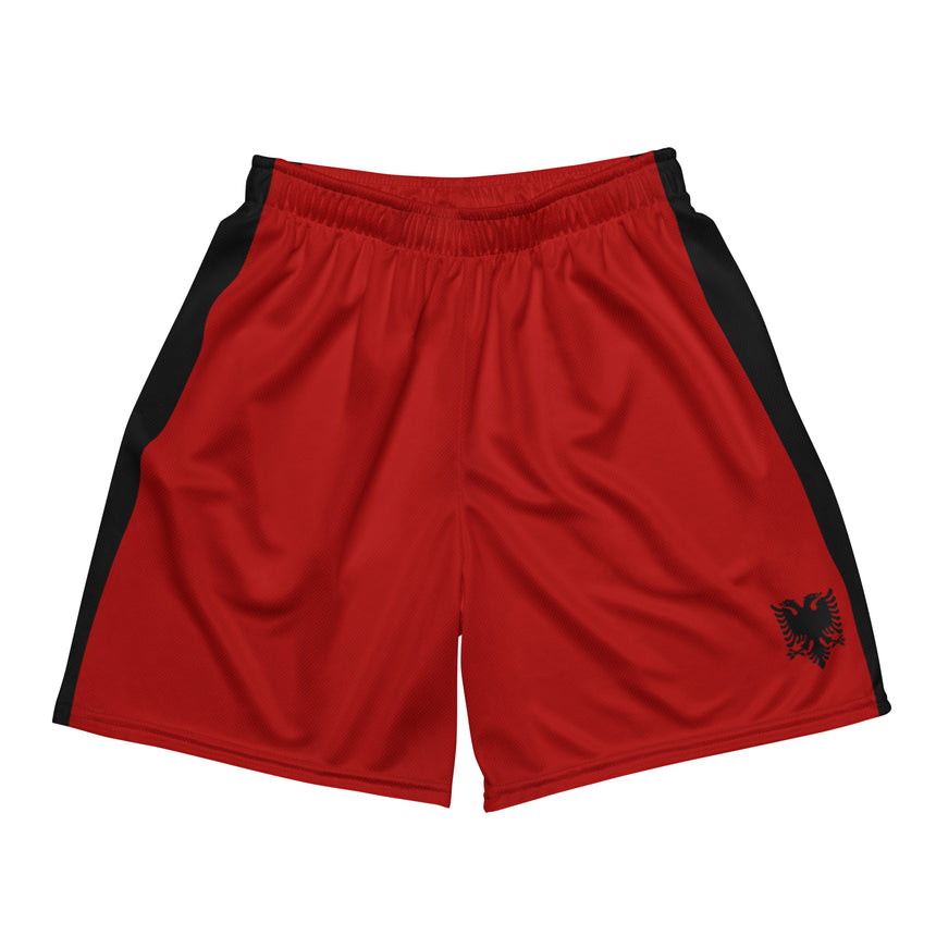 Albanian Mesh Shorts