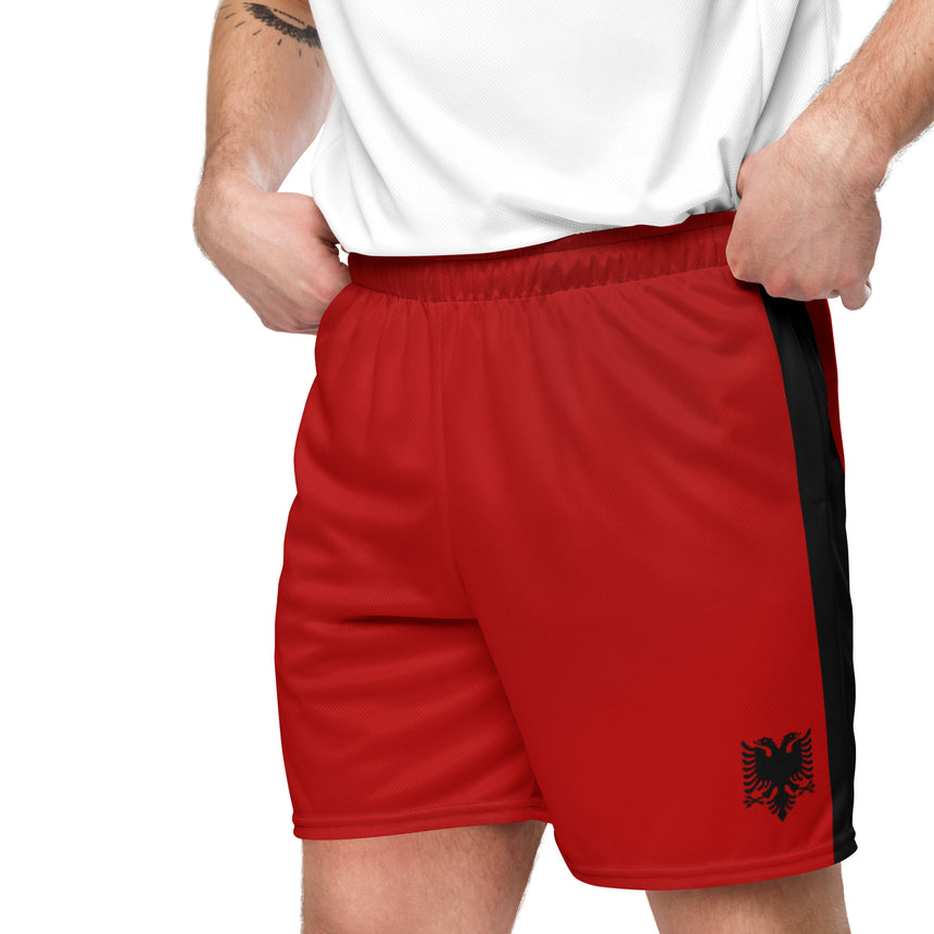 Albanian Mesh Shorts