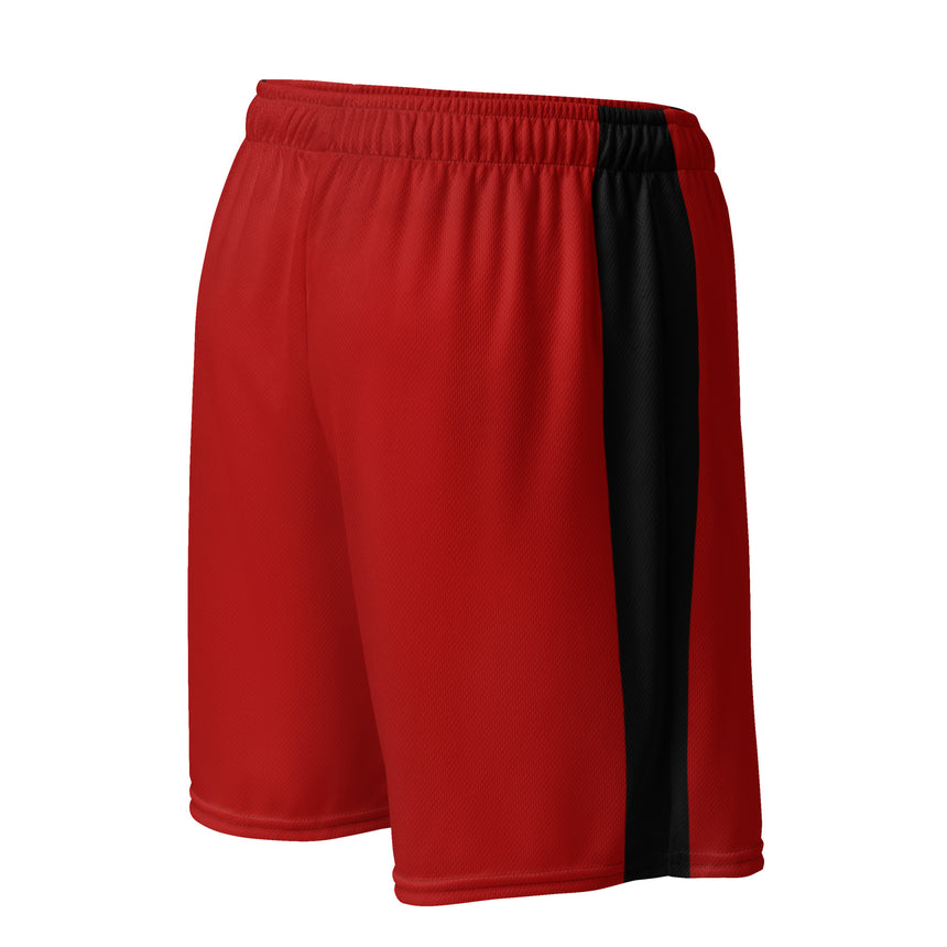 Albanian Mesh Shorts