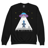UFO Over Prishtina Kids Sweatshirt